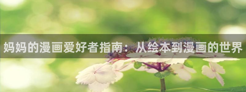 拷贝漫画用户名