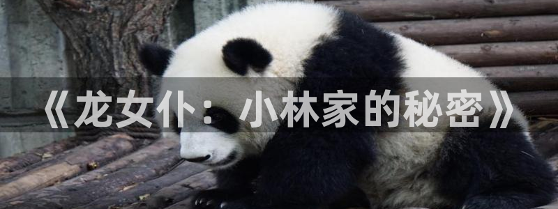 拷贝漫画下载路径：《龙女仆：小林家的秘密》